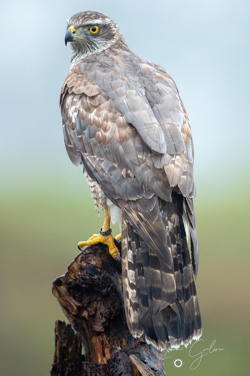 1DX46104 12 december 2021 1226 26